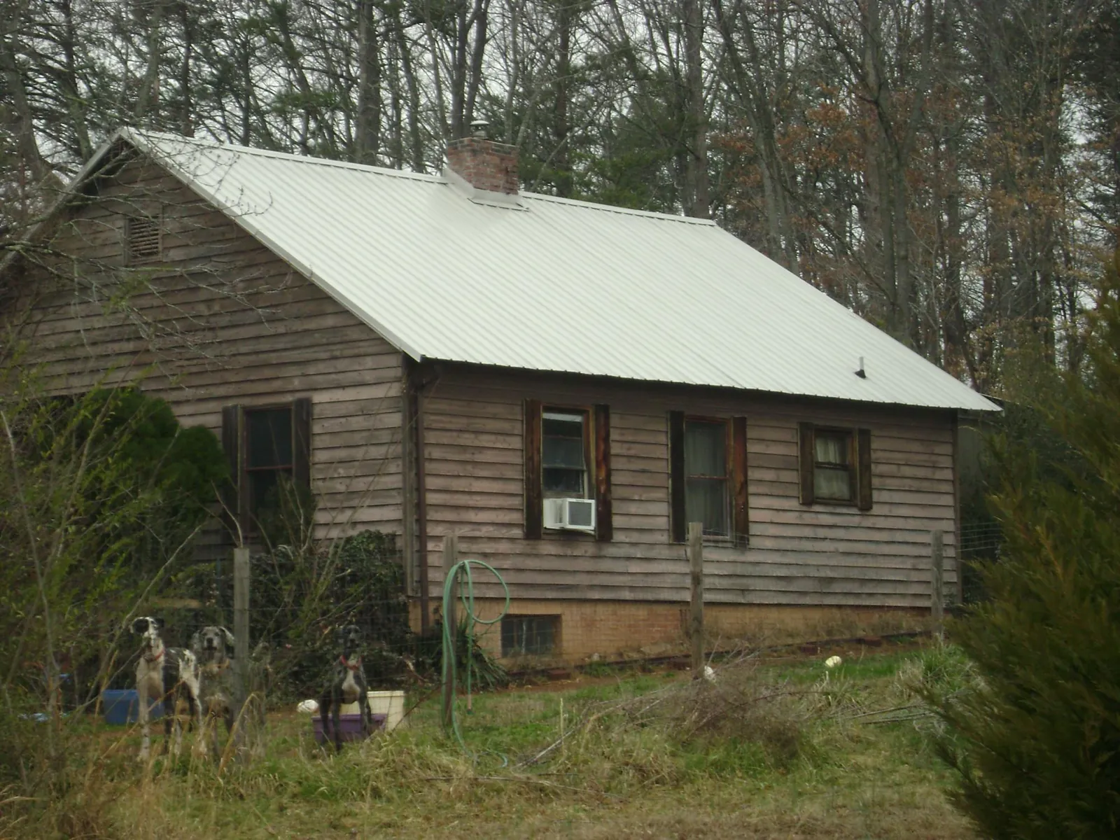 White metal roof on an old wood sided farmhouse, from a Asphalt Shingle Roof Repair job in Taylor